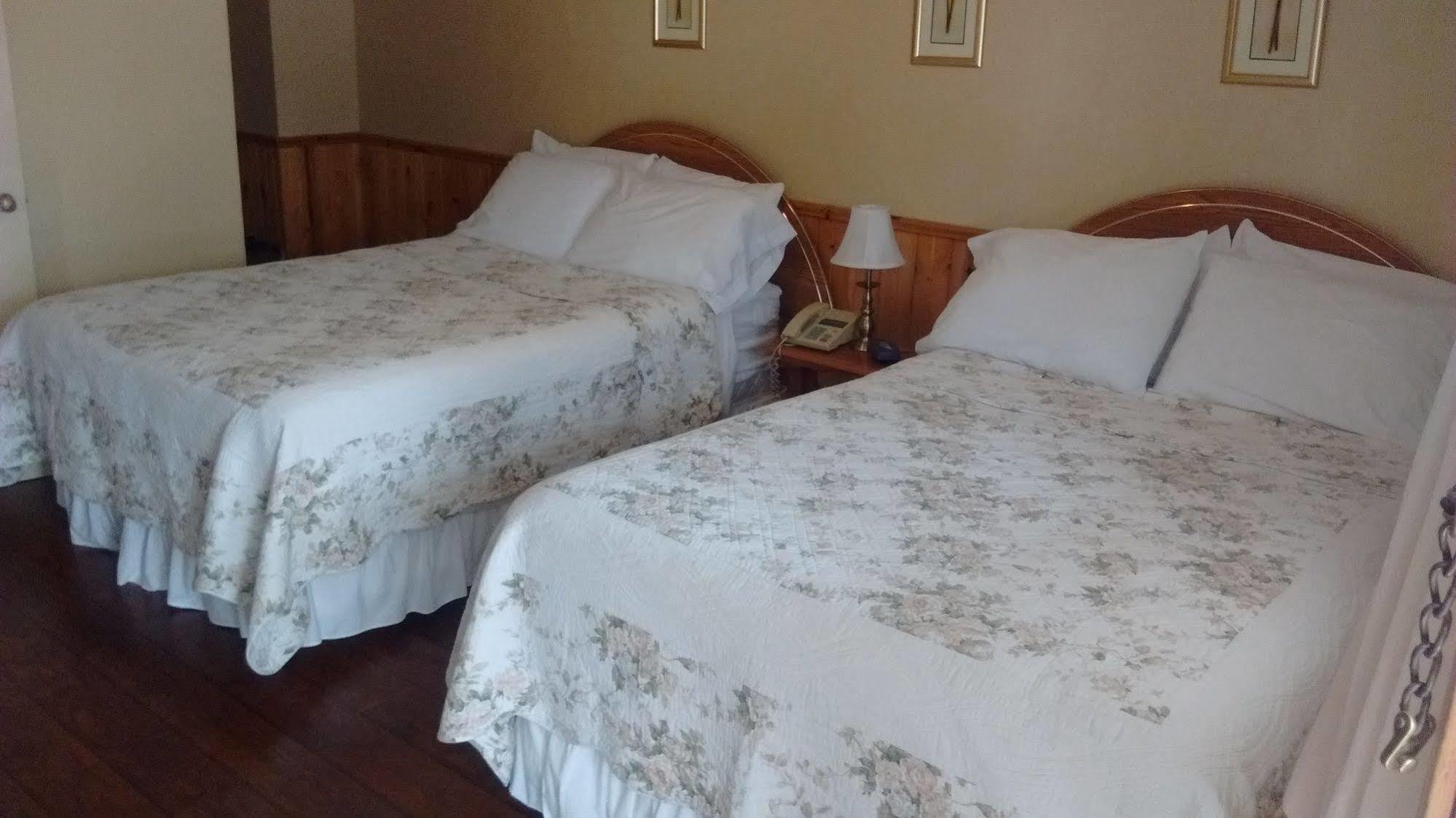 Mackenzie Motel & Cottages 셸번 외부 사진
